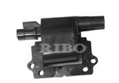 RB-IC4004 
GM 19017126; DELPHI  GN10349; NISSAN 22433-03G01, 2243303G01