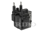 RB-IC4211 RENAULT 7701041607, 7700863020, 7700865923