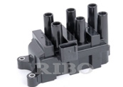 RB-IC8007C 
FORD 4751265, 5008190, 1F2U-12029-AC, 1F2U12029AC, 1F2Z-12029-AA, 1F2Z12029AA