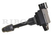 RB-IC9010D-1
NISSAN  22448-2Y006, 224482Y006
22448-2Y007, 224482Y007
22448-24015, 2244824015
HANSHIN  MCP-2853A, MCP2853A
HITACHI  IGC0026, HEXEXM2853A
DENSO 6734005, 673-4005