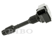 RB-IC9010F NISSAN 22448-4W010, 224484W010
DENSO 6734016, 673-4016
HITACHI IGC0025
HANSHIN MCP-2852, MCP2852
MCP-2850, MCP2850
OE 024133928, 2503928 RB-IC9010F NISSAN 22448-4W010, 224484W010
DENSO 6734016, 673-4016
HITACHI IGC0025
HANSHIN MCP-2852, MCP2852
MCP-2850, MCP2850
OE 024133928, 2503928