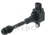 RB-IC9120BB-1 
NISSAN  22448-8U715, 224488U715
22448-76W00, 2244876W00
DENSO  6734024, 673-4024