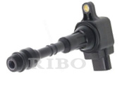RB-IC9120D NISSAN 22448-7S015, 224487S015
HITACHI IGC0004
AIC3002G, AIC-3002G (Old No.)
HEX EXA-3002G, HEXEXA3002G
DENSO 6734021, 673-4021 RB-IC9120D NISSAN 22448-7S015, 224487S015
HITACHI IGC0004
AIC3002G, AIC-3002G (Old No.)
HEX EXA-3002G, HEXEXA3002G
DENSO 6734021, 673-4021