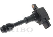 RB-IC9120F NISSAN 22448-AR215, 22448AR215
22448-AR210, 22448AR210
22448-AR200, 22448AR200
22433-AR215, 22433AR215
DENSO 6734026, 673-4026 RB-IC9120F NISSAN 22448-AR215, 22448AR215
22448-AR210, 22448AR210
22448-AR200, 22448AR200
22433-AR215, 22433AR215
DENSO 6734026, 673-4026