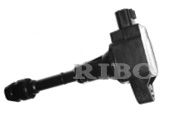 RB-IC9120T NISSAN 22448-63350, 2244863350; 22448-36550, 2244836550; 22448-07700, 2244807700
